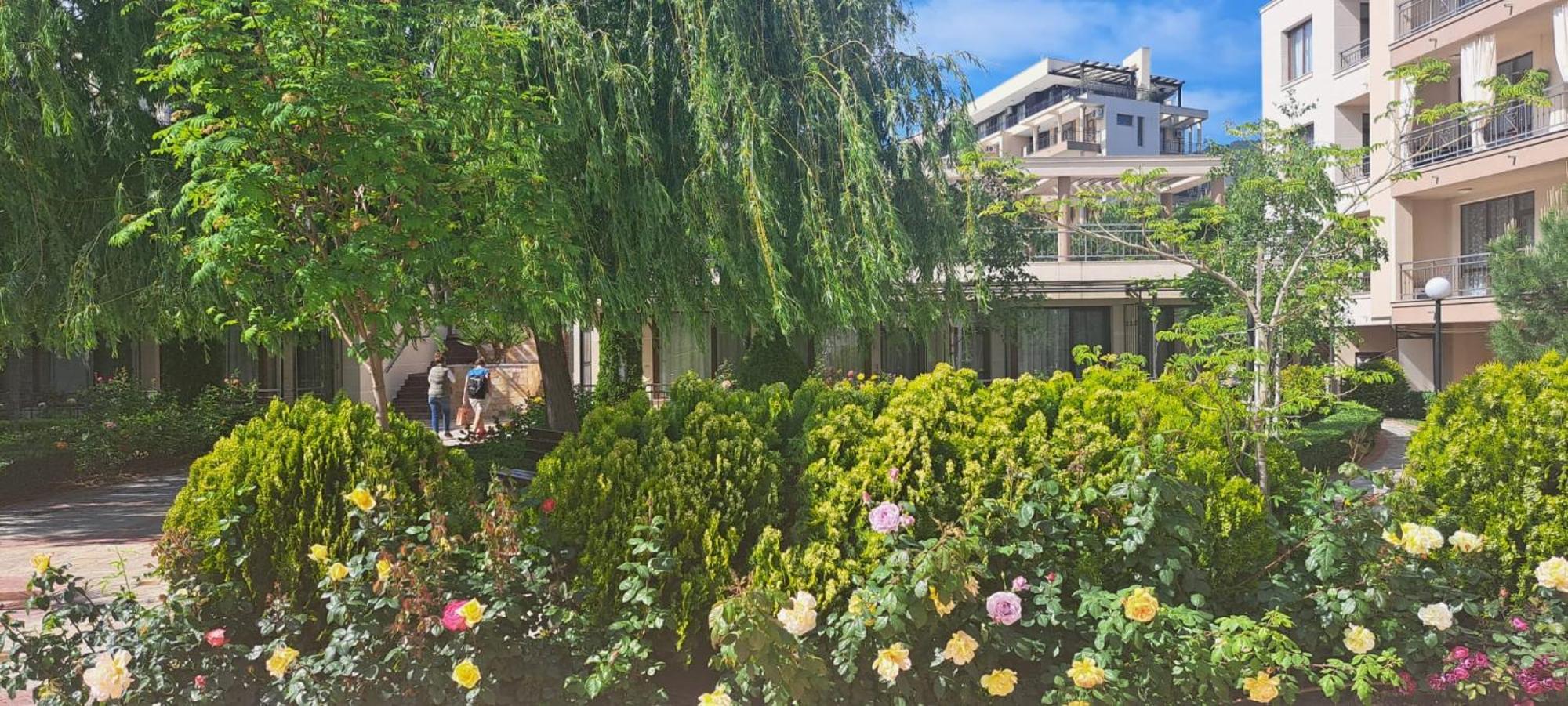 Patrick'S Apartments - Sorrento Sole Mare, スヴェティ・ヴラス エクステリア 写真